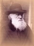 Robert Darwin